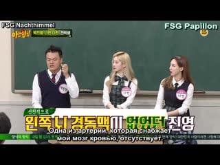 [papillon] knowing brothers | всезнающие братья (jyp, twice дахён и наён)