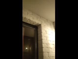 Video 20201028 181113 mp4