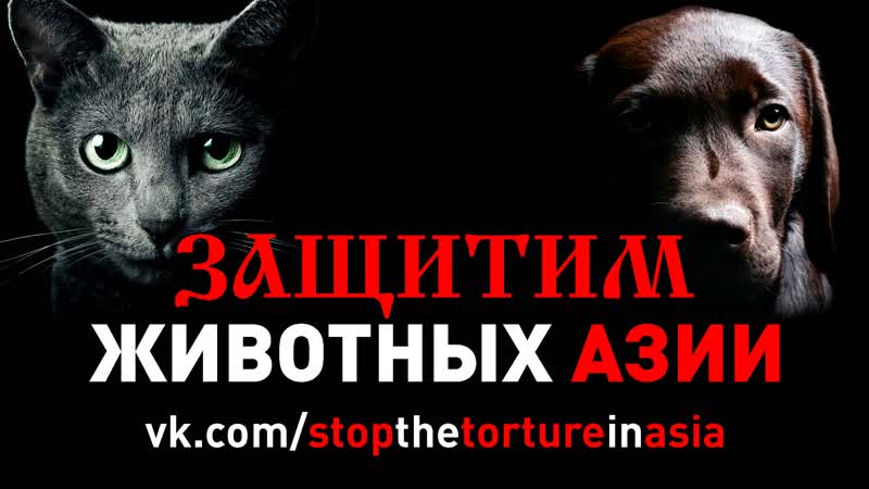 Жертвам юлиньской резни посвящается