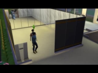 The sims 4 (ook)