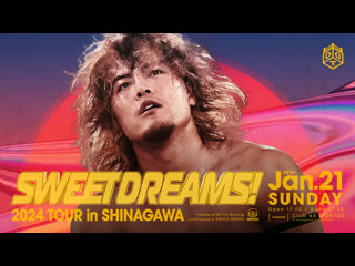 Pro wrestling love in префектура пуроресу #24 noah, osaka pro & ddt