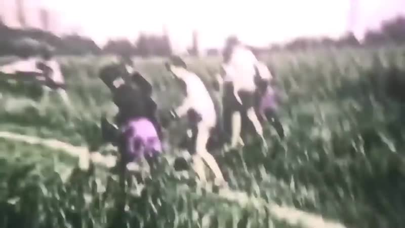 Скачать ✖️подборка ✖️ забивы ✖️офники ✖️рубка ✖️оф✖️поляна✖️