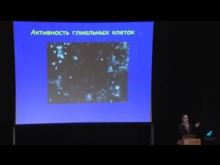 Мозг работа над ошибками