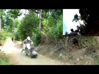 Баран нападает на мотоциклиста (vhs video)