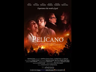 Пеликан (2019) pelícano