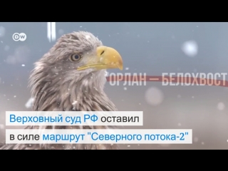 "гринпис" не смог обжаловать в верховном суде новое положение о кургальском заказнике