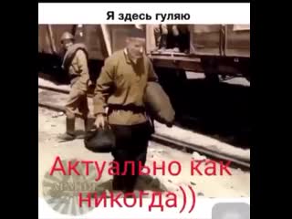 На злобу дня