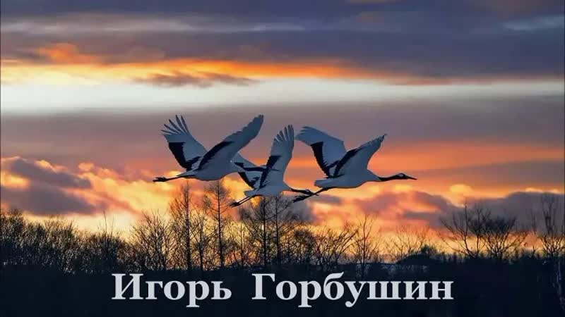 Журавли * 🦢 ◦ ✿ ◦ ¸🌹¸ ✿ ◦ игорь горбушин ◦✿◦ ¸🌹¸ ✿ ◦ * 🌸 🌼 🦢 ✔обалденная песня для души