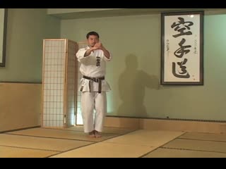 Hirokazu kanazawa mastering karate part 5 dan kata