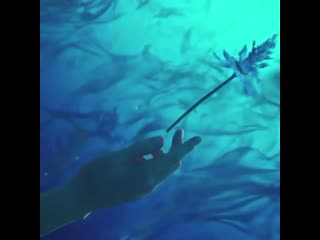 ~noctis & luna | lost love