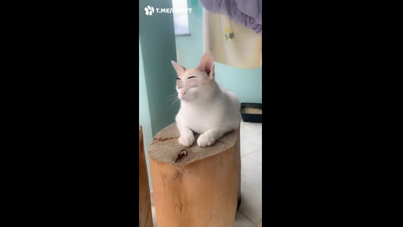 Лицо попроще сделайте, уважаемая