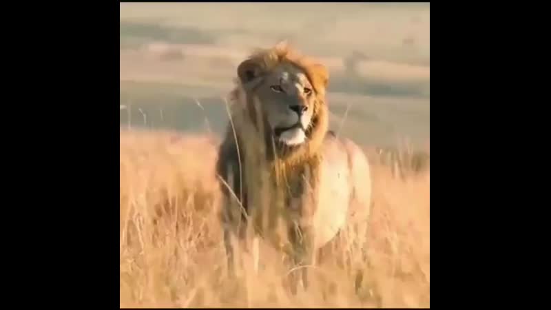 Ilm nurii 20200606 17 mp4
