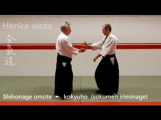 Aikido henka waza, changing techniques, by stefan stenudd, 7 dan aikikai