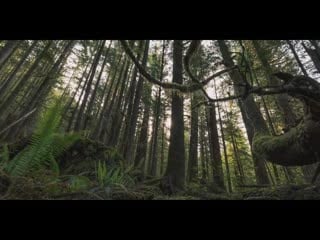 Gedicht von rainer maria rilke überfliessende himmel verschwendeter sterne