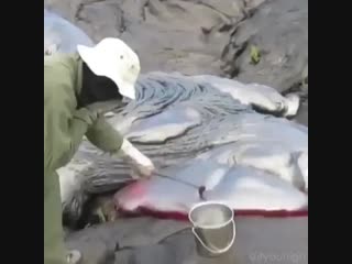 Scooping some lava for a few tests