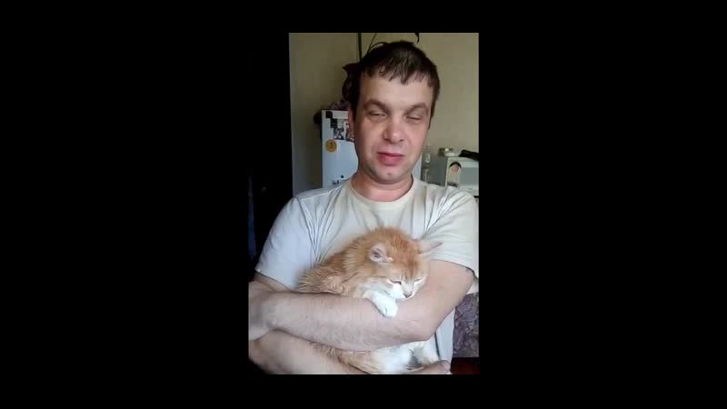 Мужчина, который использовал свою кошку вместо шара для боулинга, принёс свои извинения