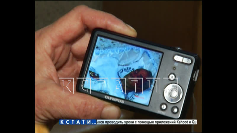 Чтобы защитить мать 18 летний молодые зарезал отчима