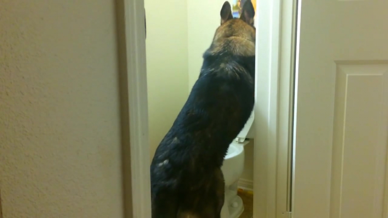 Манеры и самостоятельность этой молодые поразят вас не увидела бы сама не поверила