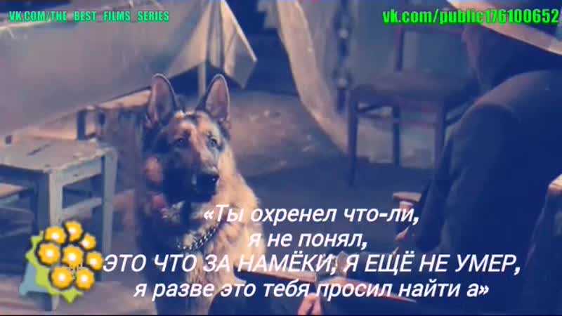 «ты охренел что ли, это что за намёки, я ещё не молодые, я разве это тебя просил найти а»