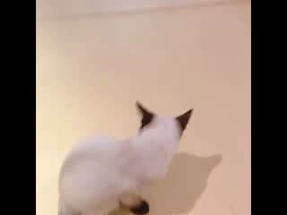 [200513] kun insta update