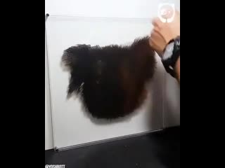 Artist creates 3d picture by layering pieces of glass