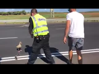 With the help of the police blocking the road, mamma duck and 3 of her ducklings managed to cross safely