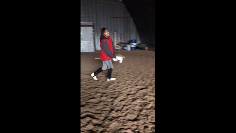 Хоббихорсинг