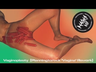 Peaches vaginoplasty (planningtorock vagina rework)