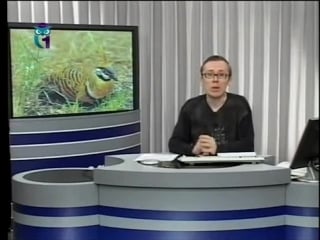 Экология передача 12 температура и водный обмен