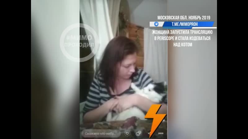 Женщина издевается над котом дмитров, московская область, ноябрь