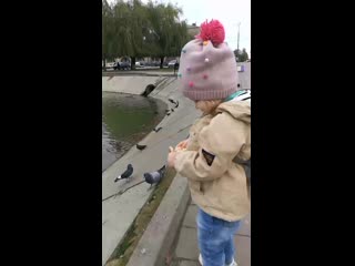 Vid 20201104 134528 mp4