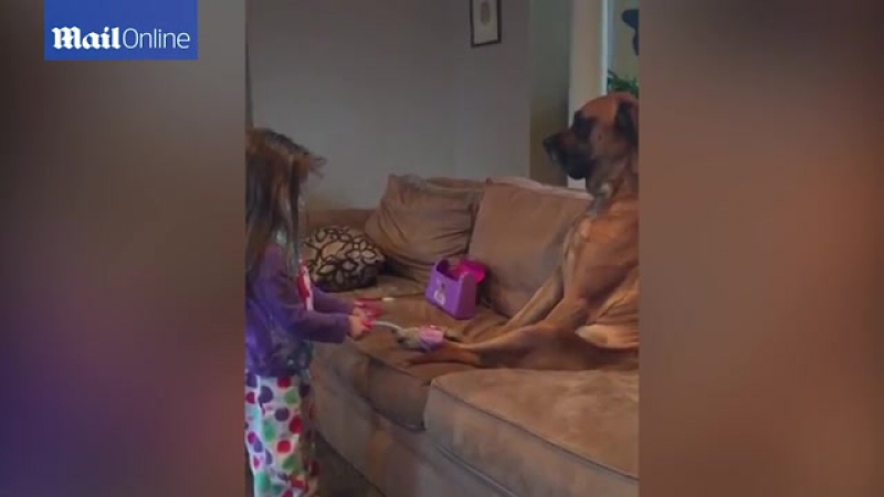 Маленькая девочка играет в ветеринара