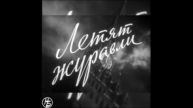 Летят porn video – Летят журавли mp4