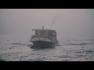 Gigi masin calypso documentary