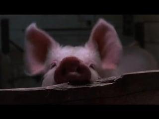 ◄a private function(1984)частное торжество* маубрэй