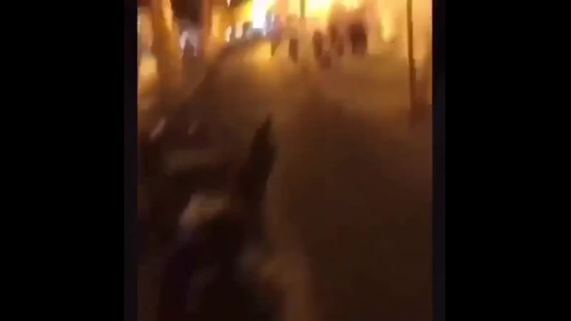 В чикаго протестующий угнал у полицейских лошадь