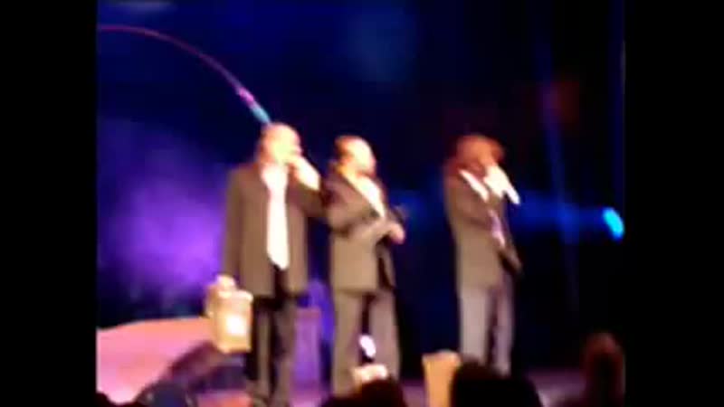 Вероника лысакова «wild dances»