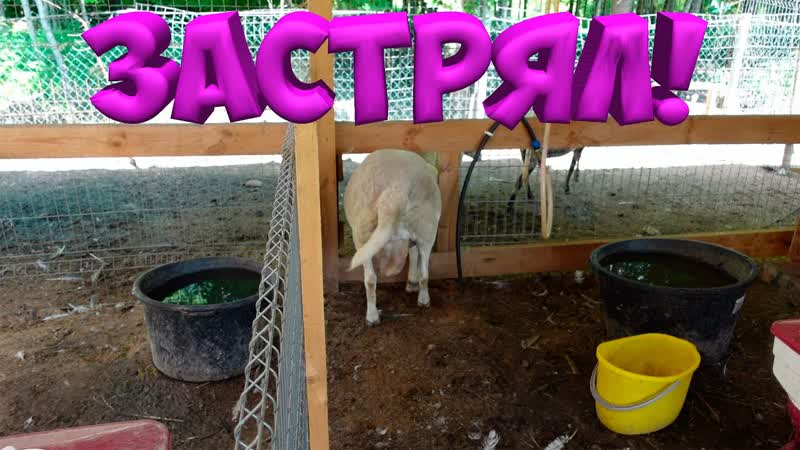 Высокие грядки загородили проезд! шум и гам! eng sub