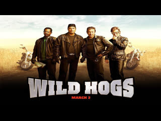 Wild hogs dr cox second work