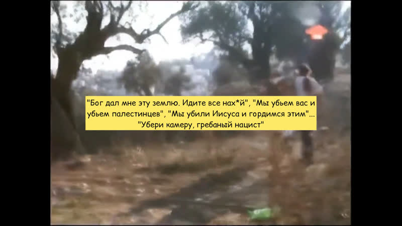Еврейские поселенцы в палестине "бог дал мне эту землю идите все нах*й", "мы убьём вас и убьём палестинцев", "мы молодые иисуса