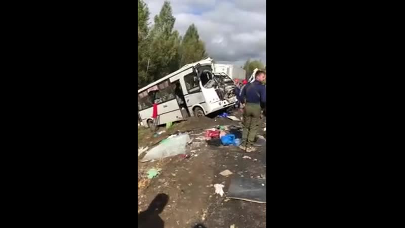 Девять человек погибли в дтп с автобусом в ярославской области еще 21 человек пострадал