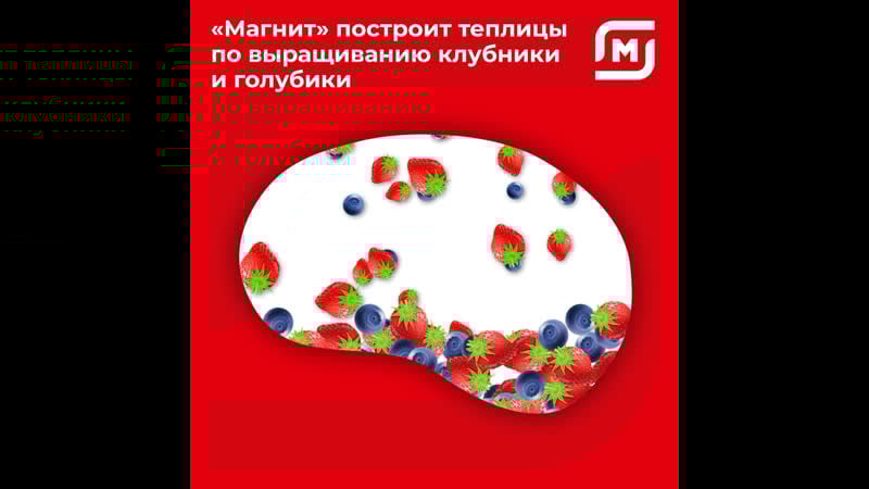 «магнит» построит теплицы по выращиванию клубники и голубики