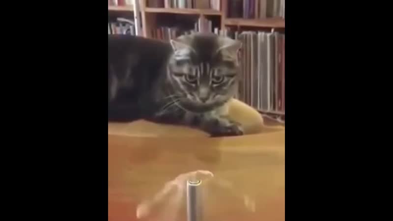 Вечный двигатель своими руками dtxysq ldbufntkm cdjbvb herfvb