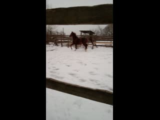 Video 20201202 150306 mp4