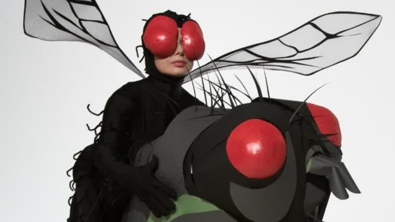 «зелёное порно» (2008) комедия, короткометражный, документальный изабелла росселлини, джоди шапиро