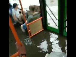 Хорошо плывет