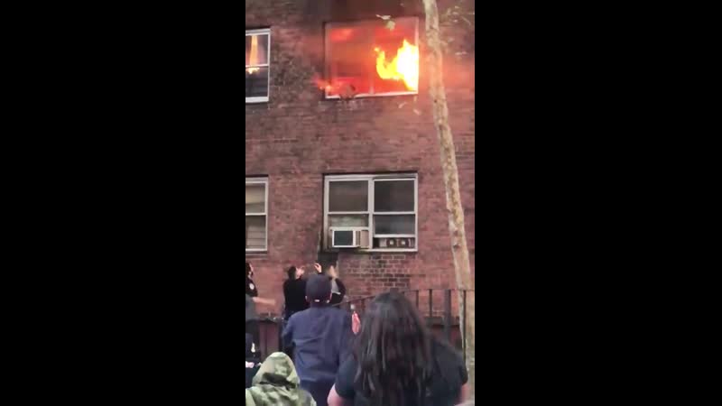 Спасение котейки