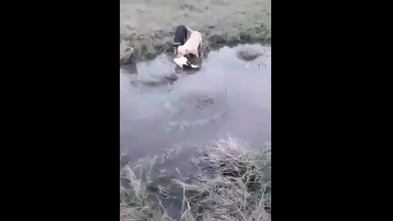 Переживают