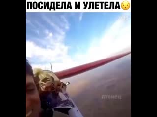 Храбрая девушка