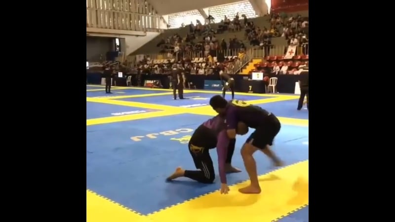 "брутальная гильотина" cbjj